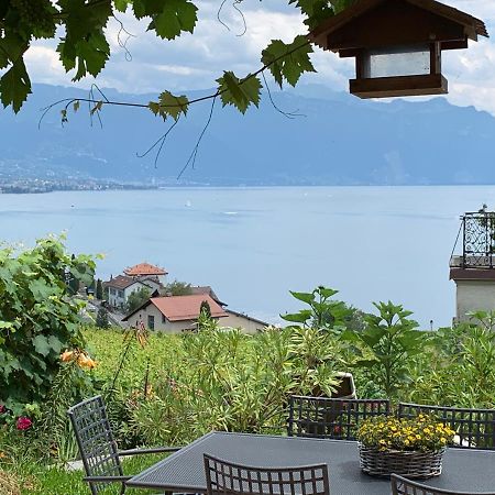 Apartmán La Gremillette Gourmande Lavaux Rivaz Exteriér fotografie