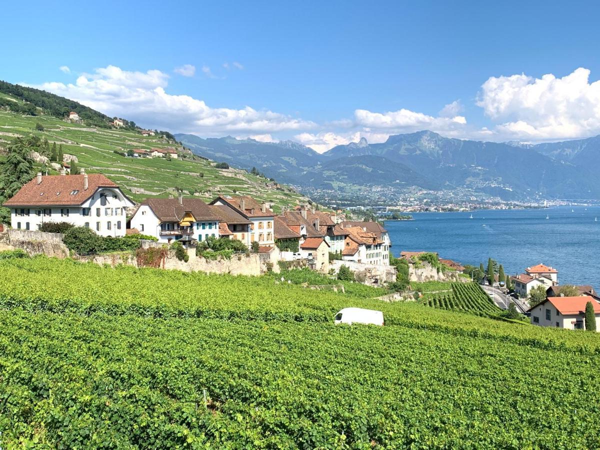 Apartmán La Gremillette Gourmande Lavaux Rivaz Exteriér fotografie