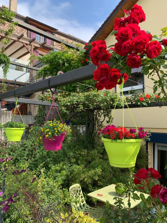 Apartmán La Gremillette Gourmande Lavaux Rivaz Exteriér fotografie