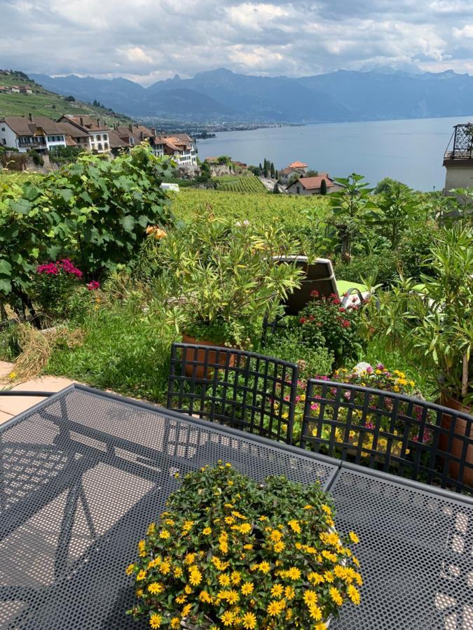 Apartmán La Gremillette Gourmande Lavaux Rivaz Exteriér fotografie