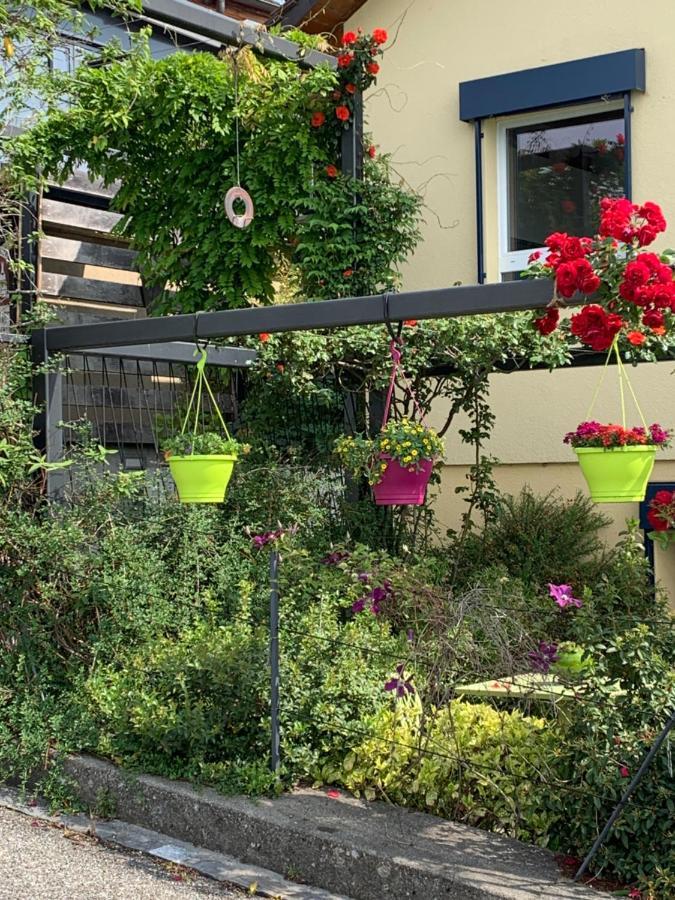 Apartmán La Gremillette Gourmande Lavaux Rivaz Exteriér fotografie