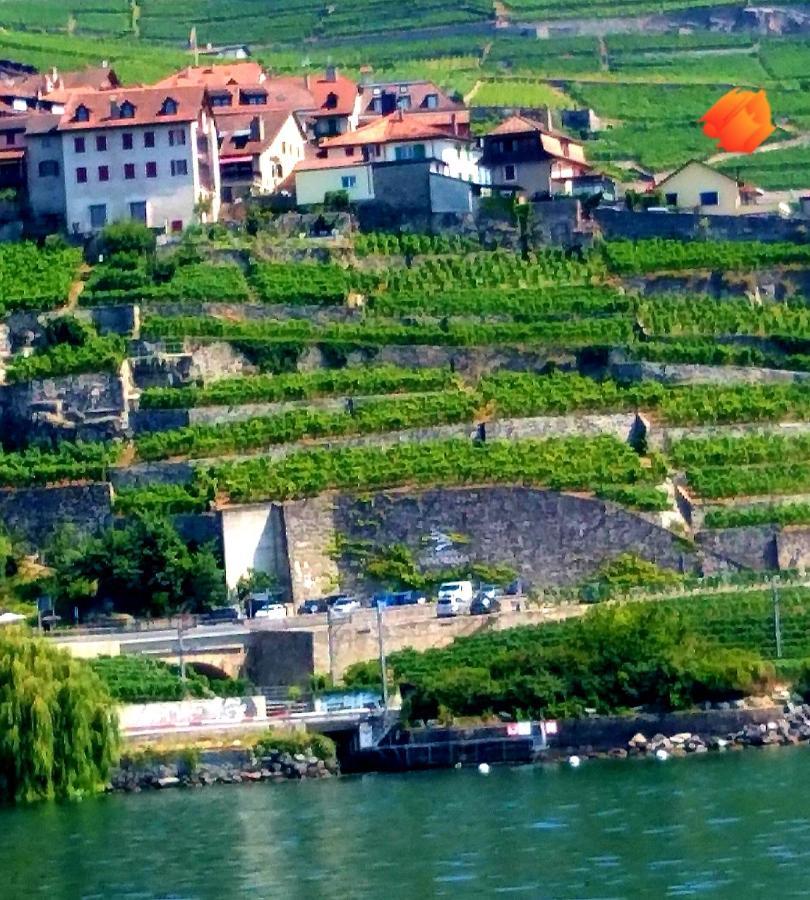 Apartmán La Gremillette Gourmande Lavaux Rivaz Exteriér fotografie