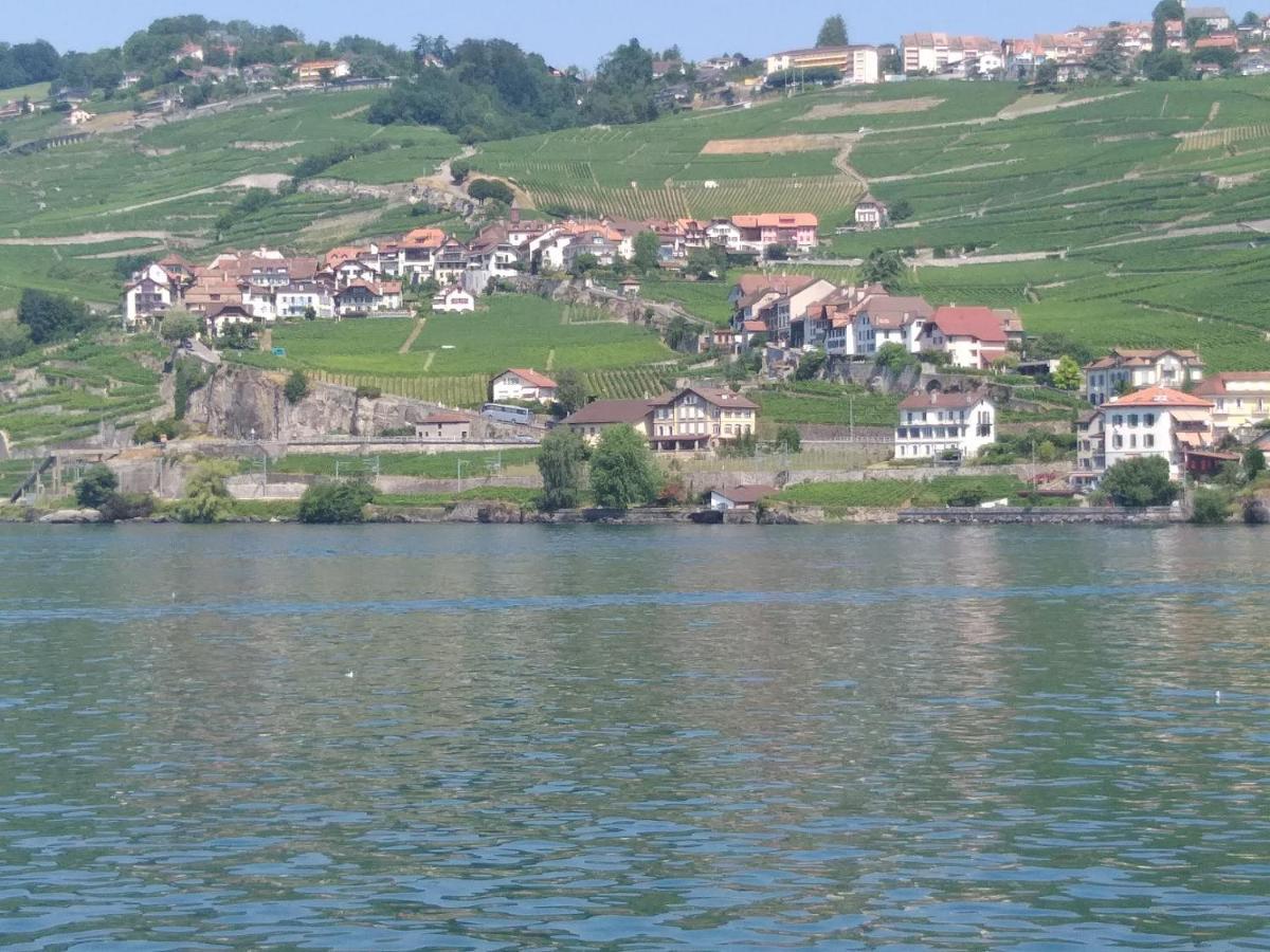 Apartmán La Gremillette Gourmande Lavaux Rivaz Exteriér fotografie
