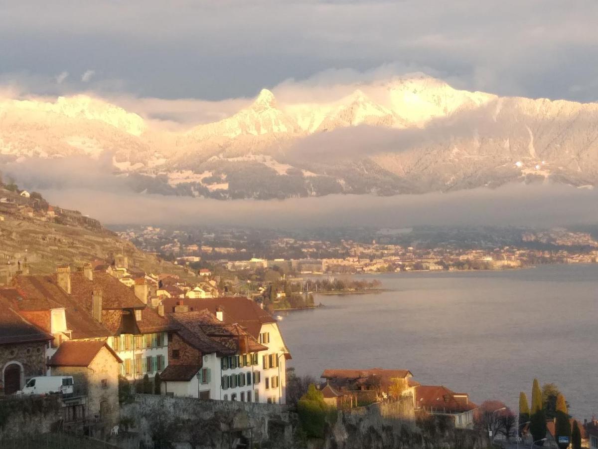 Apartmán La Gremillette Gourmande Lavaux Rivaz Exteriér fotografie