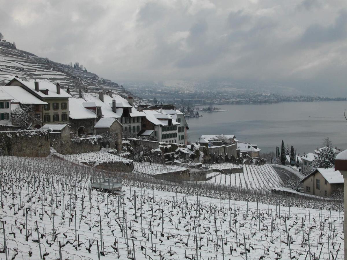 Apartmán La Gremillette Gourmande Lavaux Rivaz Exteriér fotografie